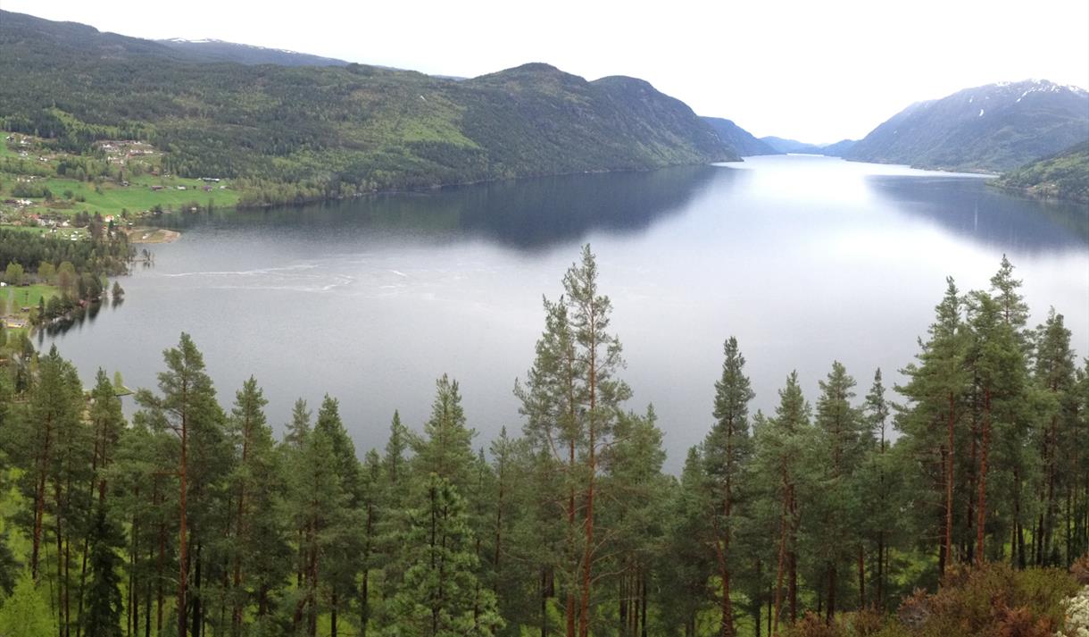 Flott utsikt over Tinnsjøen fra Åsral