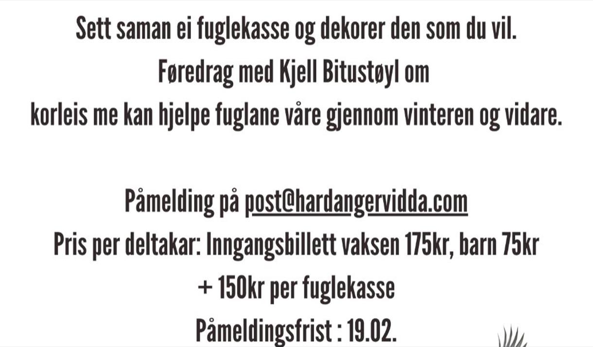 plakat til "Fuglekassedag