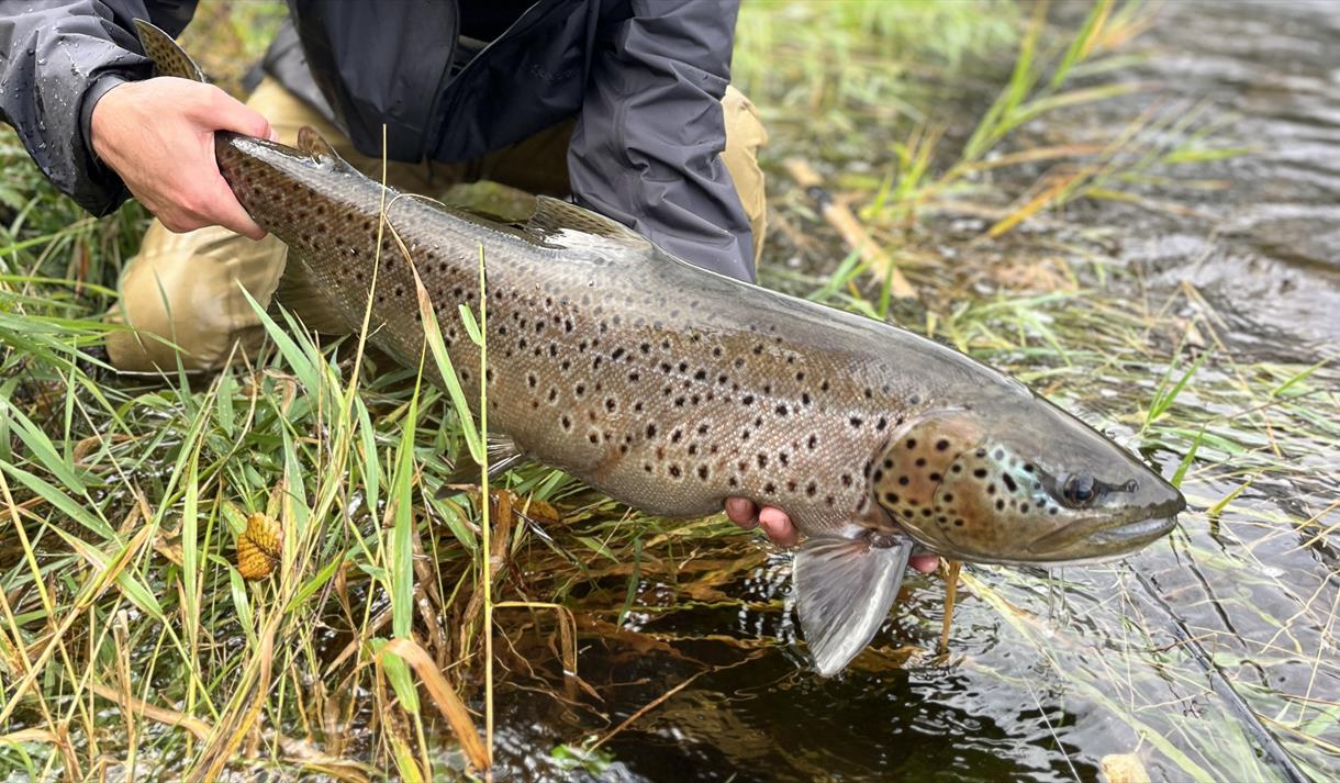 Introduksjonskurs i fluefiske