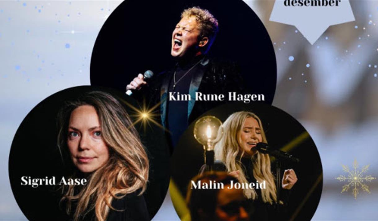 plakat til "Stjernesludd"