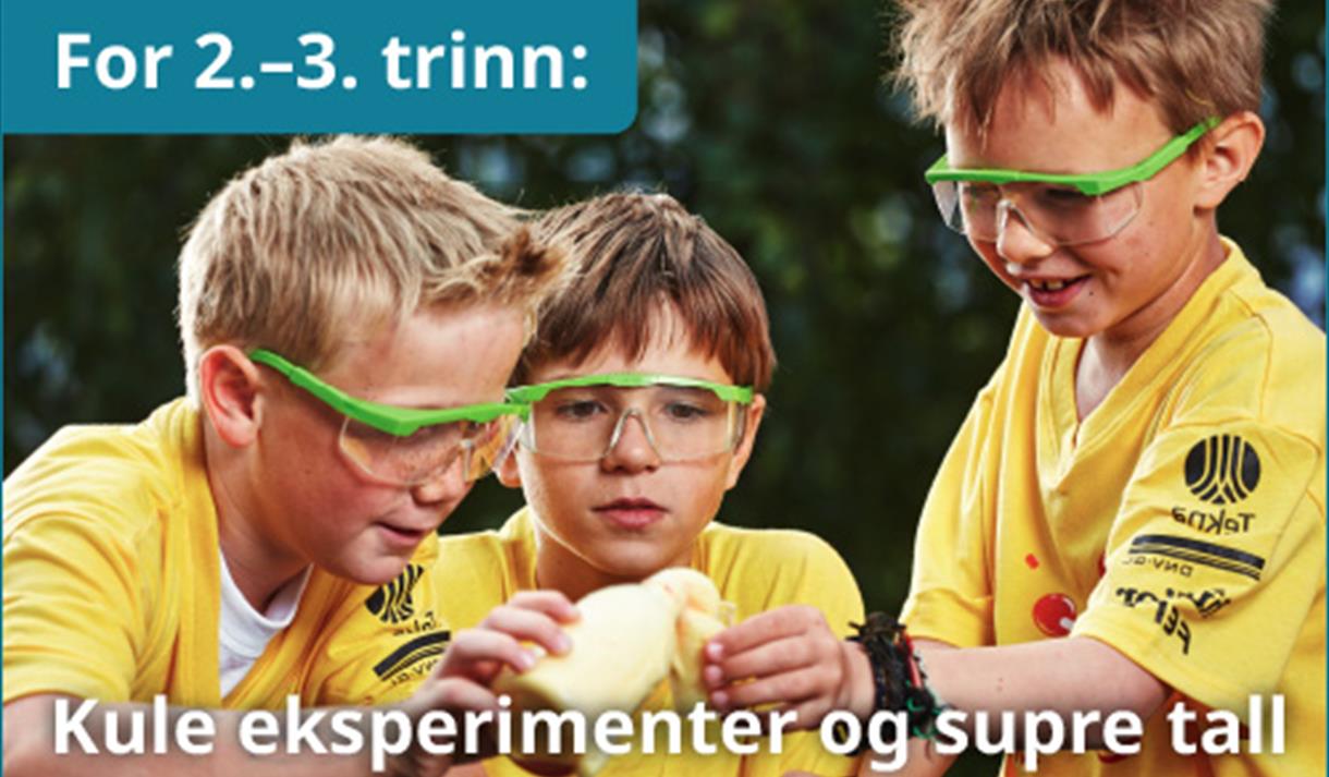Forskerfabrikkens sommerskole