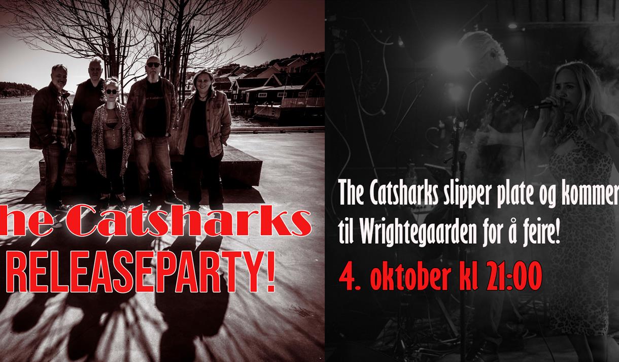 plakat til "The Catsharks"