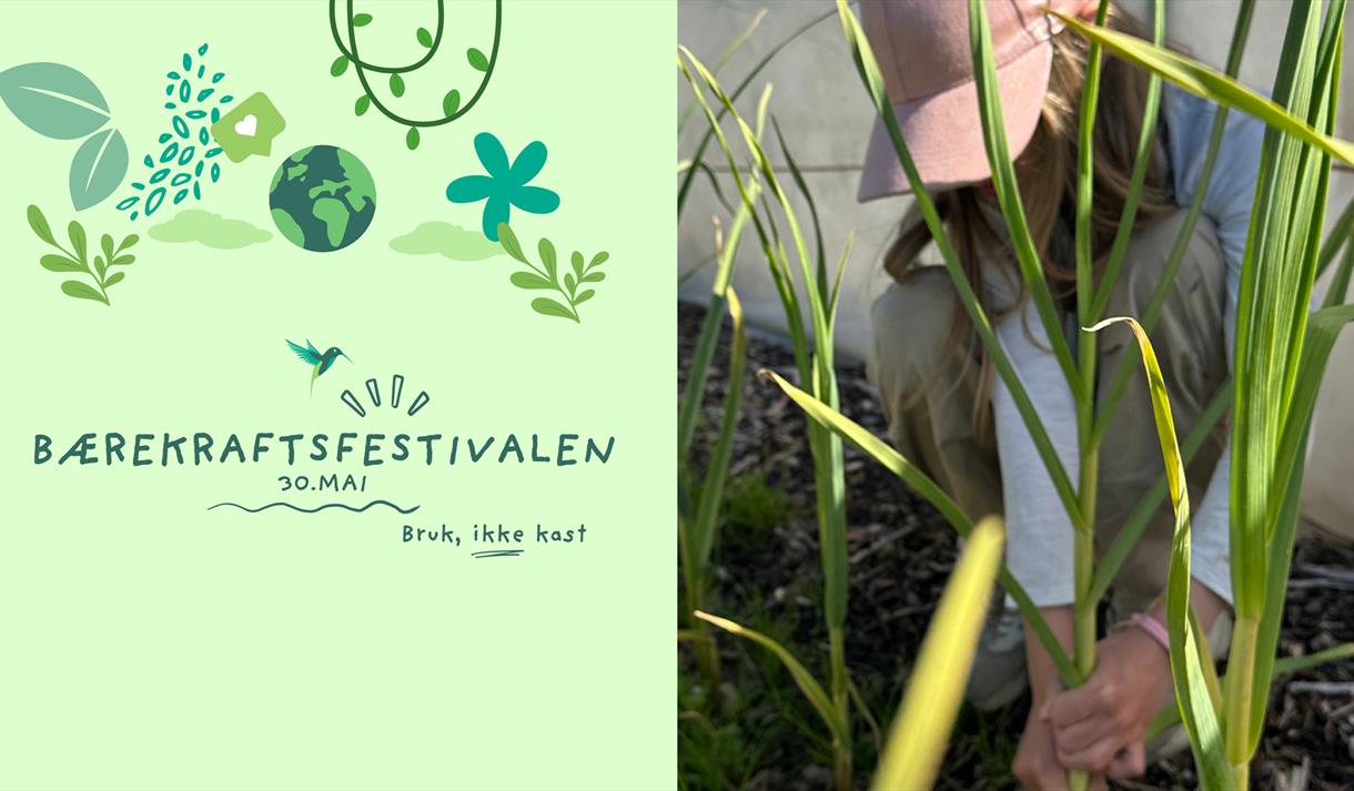 Bærekraftfestivalen i Skien 2026