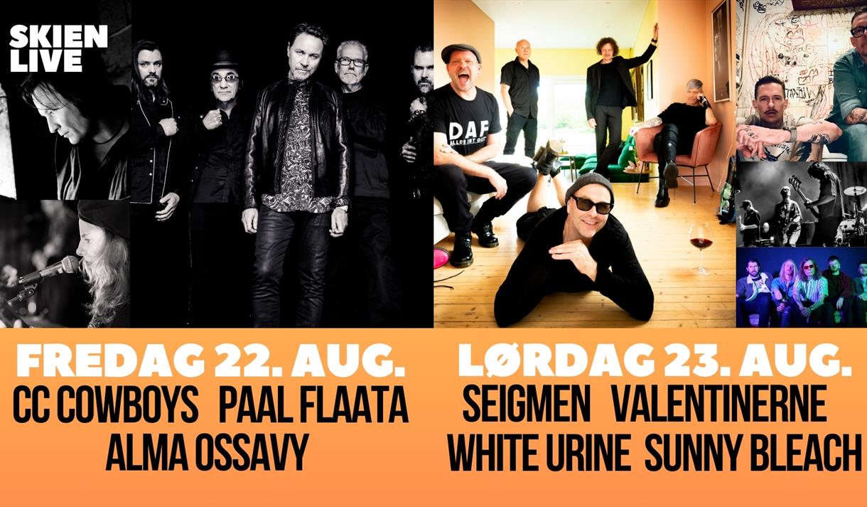 plakat til "Skien Live"