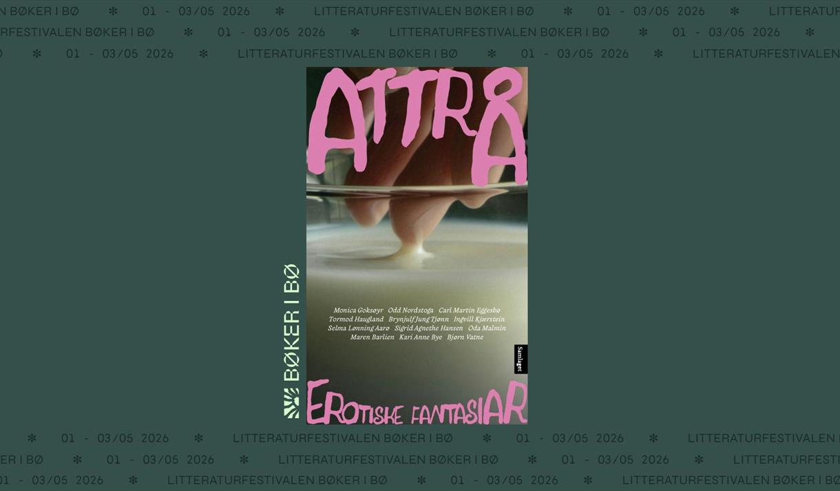 plakat til "Bøker i Bø"