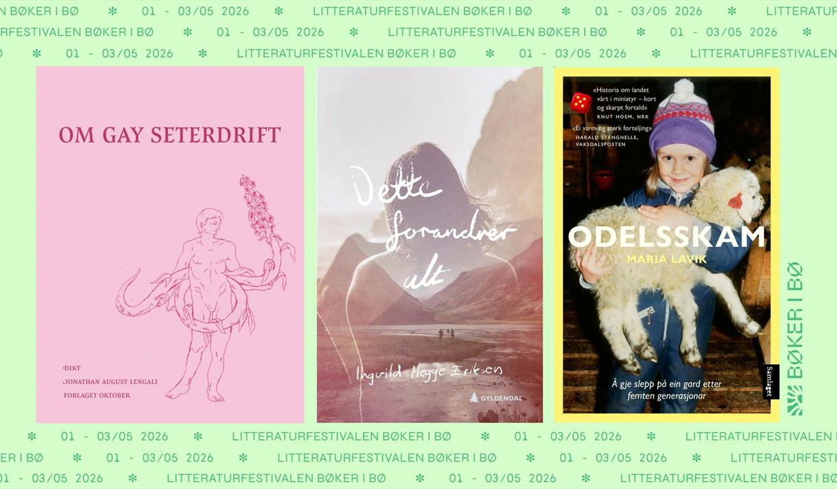 plakat til "Bøker i Bø"