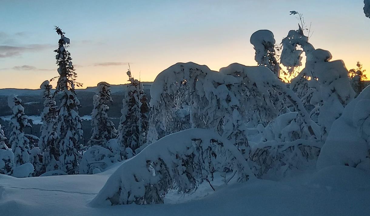 vinterlandskap