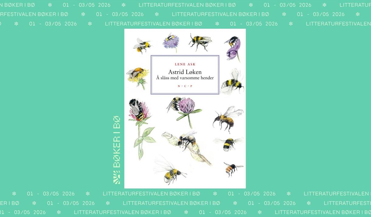 plakater til "Bøker i Bø"