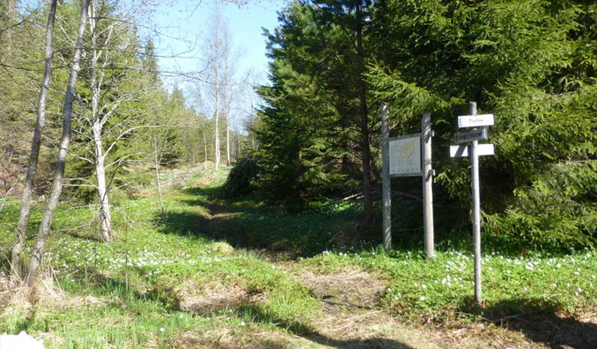 Gamle vegen Kikut