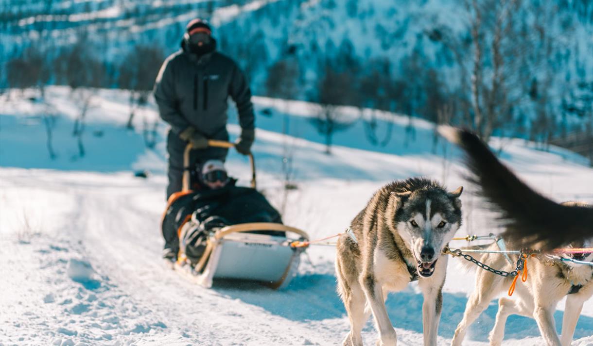 på tur med Haukeli Husky