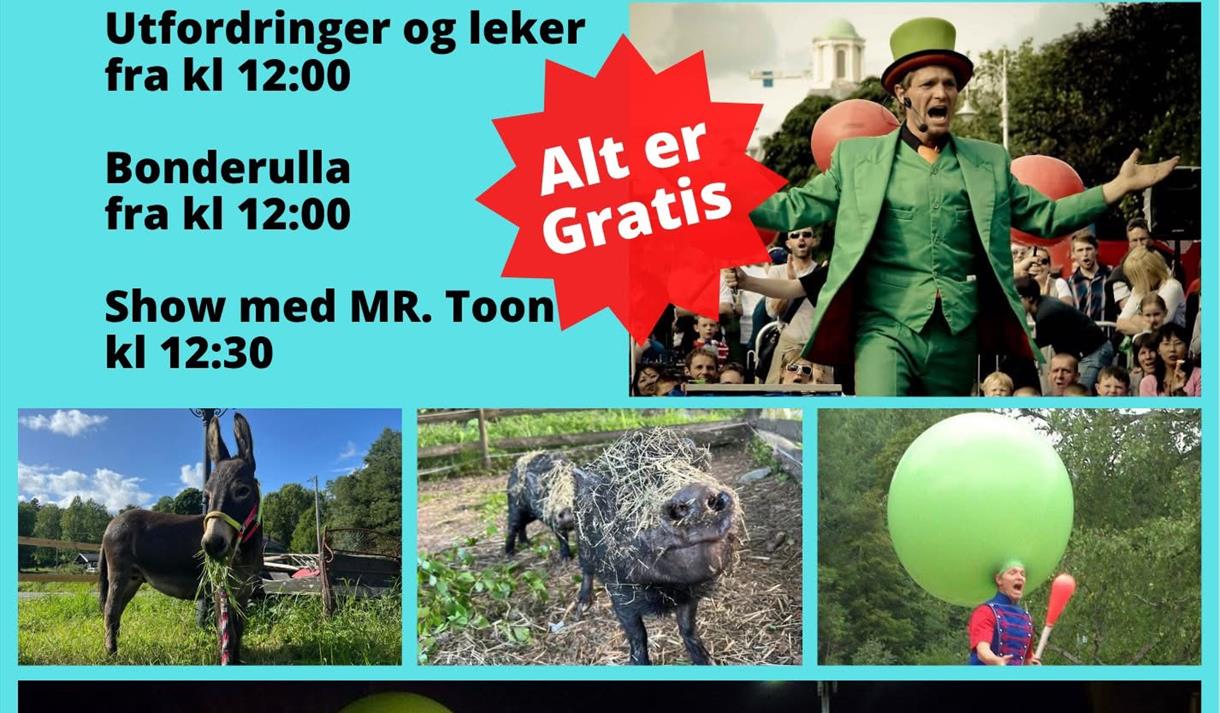 Turkis plakat med sort skrift. bilder av tryllekunstner med grønn flosshatt og dyr