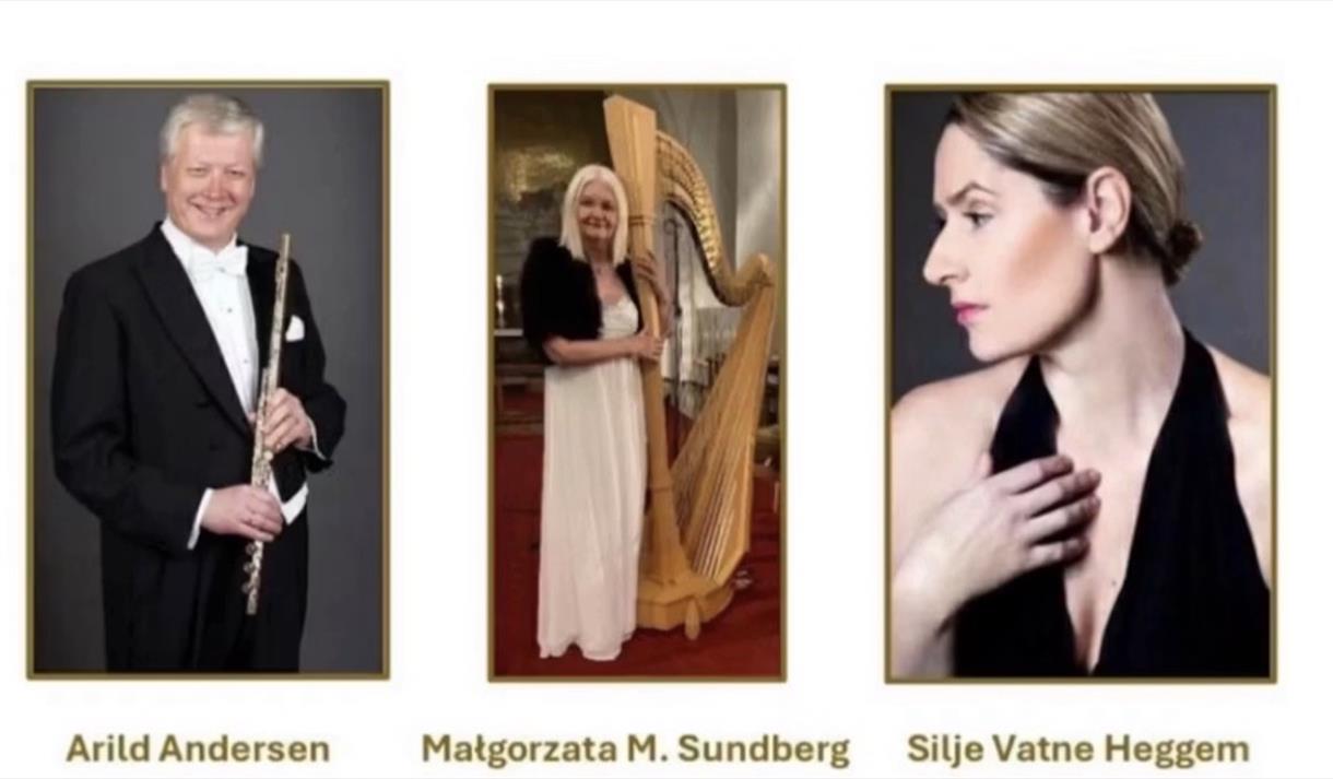 Arild Andersen, Malgorzata M. Sundberg, Silje Vatne Heggem.