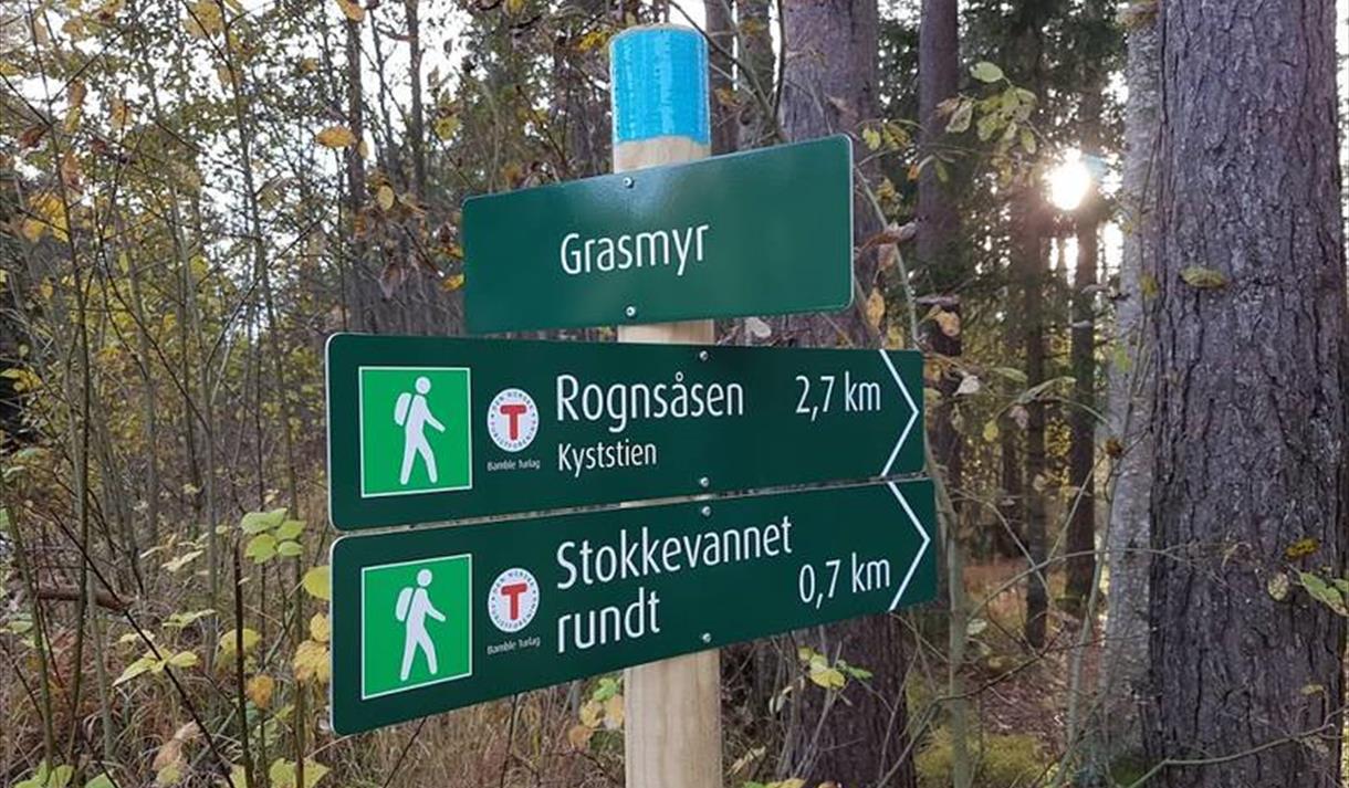 Rundturer i skogen og langs kyststien i Bamble