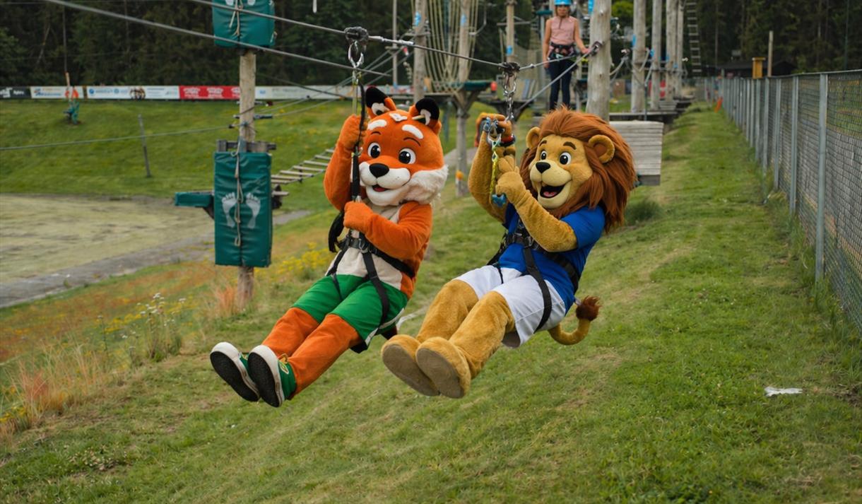 Maskotter i Zip line