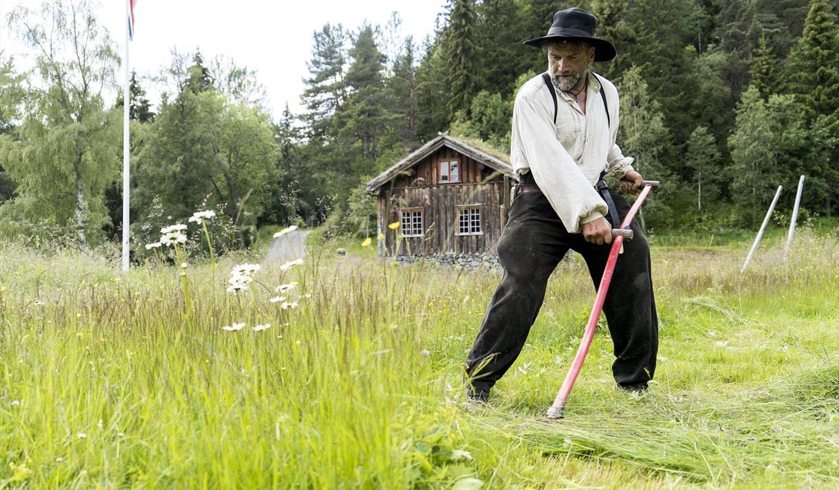 Museumsbonden slår gras med ljå (langorv) på Vest-Telemark museum Eidsborg.
