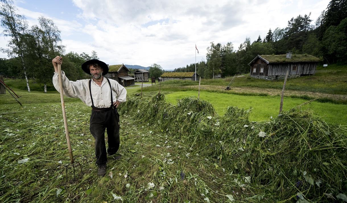Slåttedagar i Eidsborg