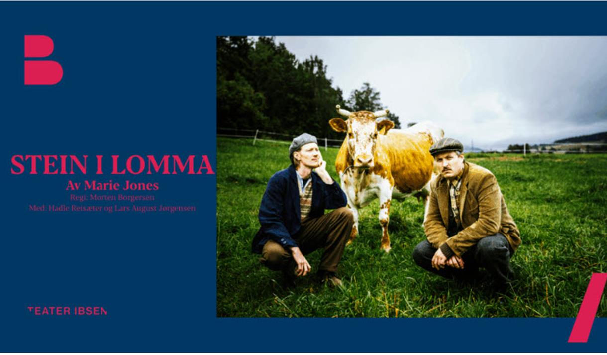 Plakat til "Stein i lomma"