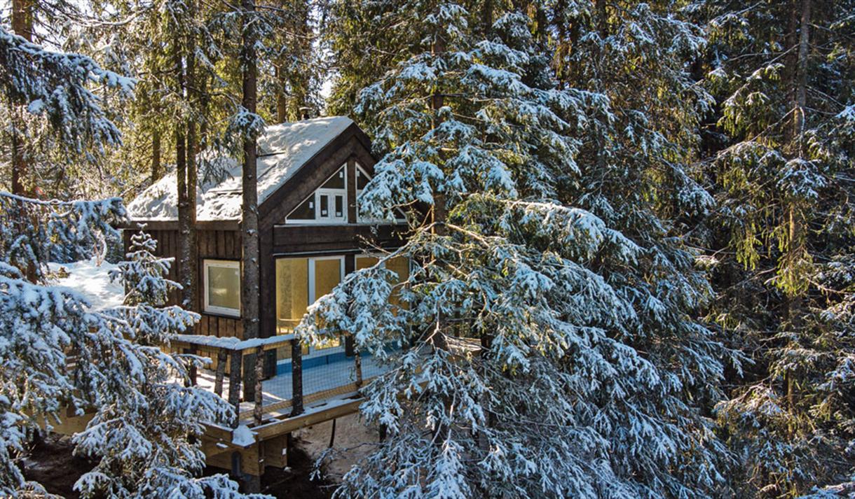 tretopphytta til Lårdal Tretopphytter blant trærne om vinteren