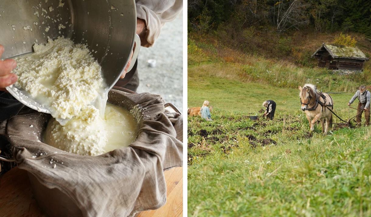 Ysting av ost og åkerarbeid med hest, Vest-Telemark museum.