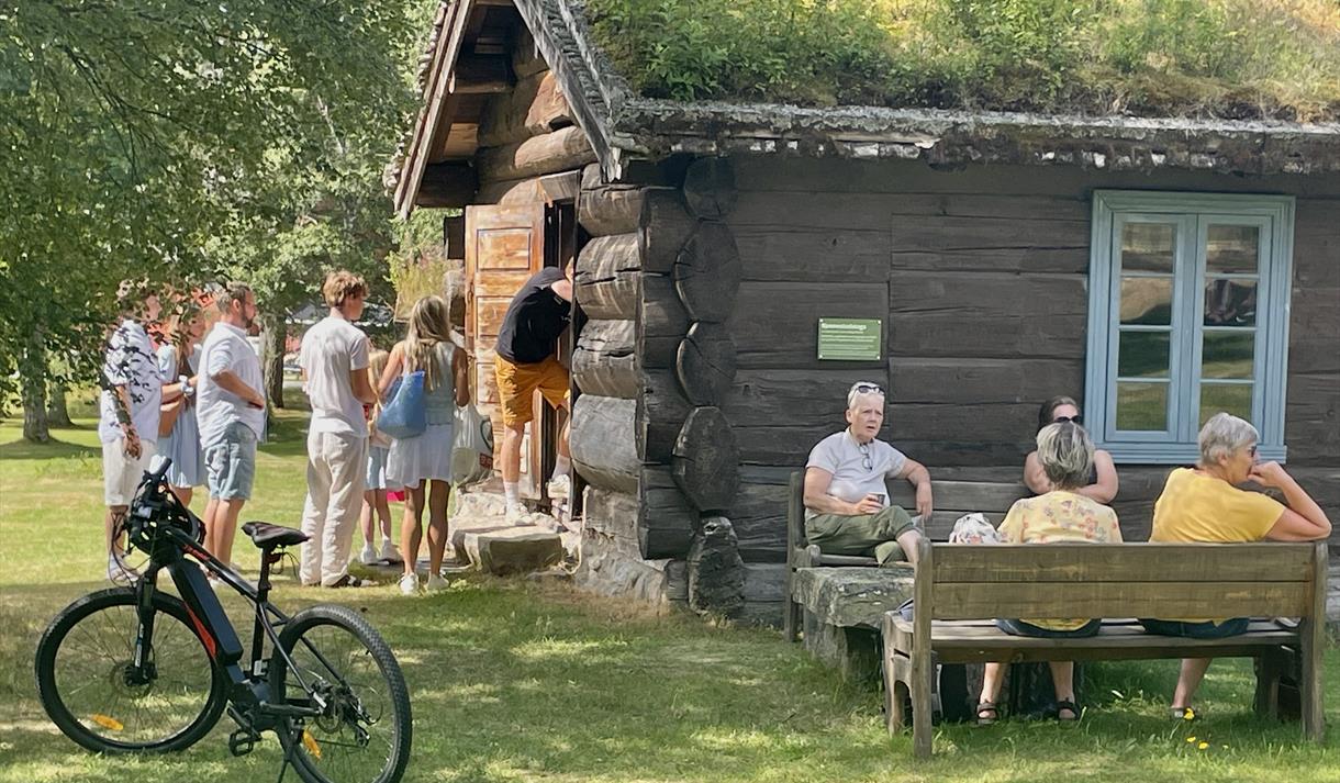 Folksom i Øyskogen, Fyresdal.
