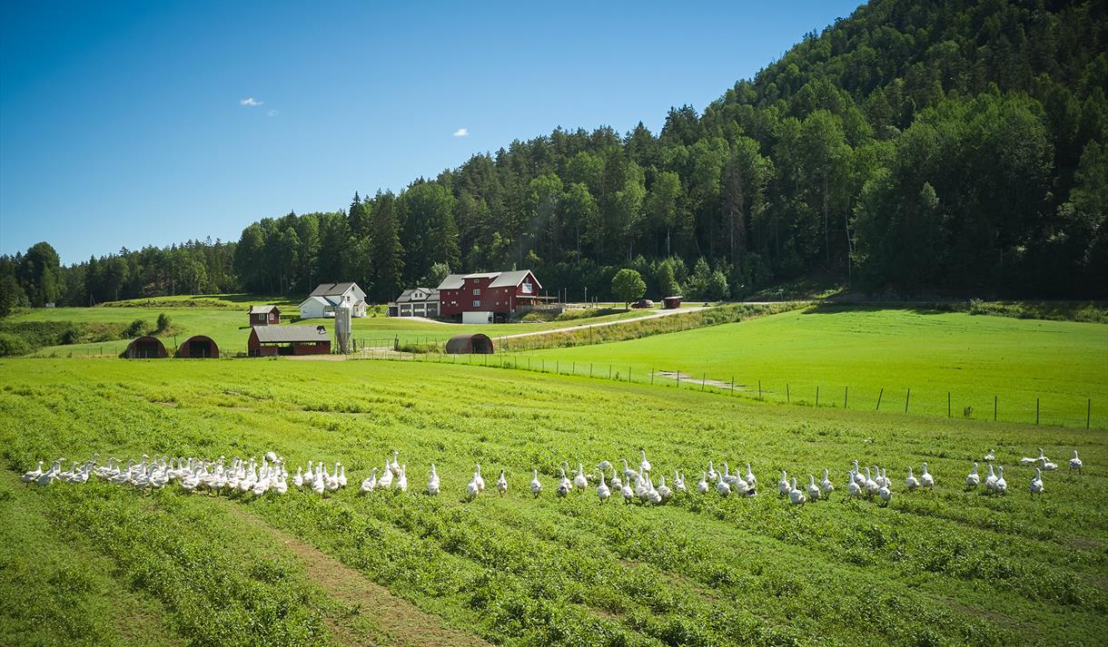 Holte Gård