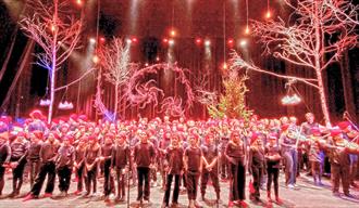 Kulturskolens juleshow