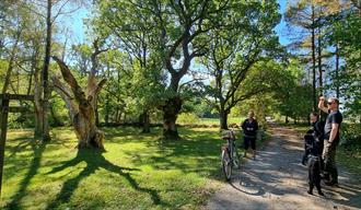 Guided tours on the island Jomfruland