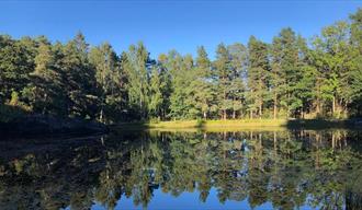 lake in Brevik