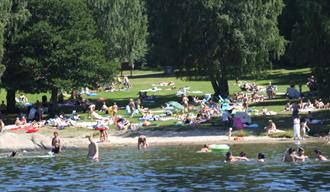 folk som bader på Brønnstadbukta badeplass i Porsgrunn