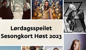 Bildecollage med forskjellige bilder av artister