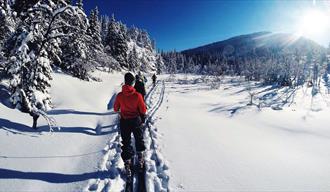 gruppe på skitur med Morgedal Aktiv