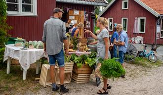 Bilde fra tidligere høstmarked på Øvre verket.