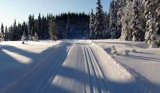 Øyfjell om vinteren