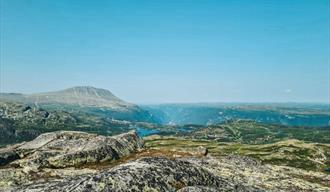 Guidet tur til Ørnenipa