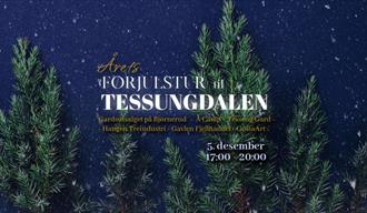 Førjulstur til Tessungdalen