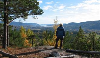 Folkestadåsene