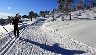 Skiløyper på Gamatun, Gautefall