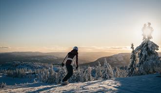 dame kjører snowboard på Lifjell skisenter