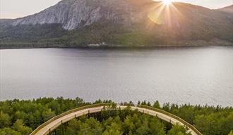 Utsikten fra Tretoppveien på Hamaren.