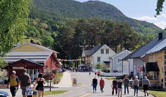 people in the folk town on a summer day