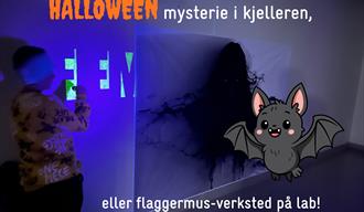 Ha det gøy i utstillingen