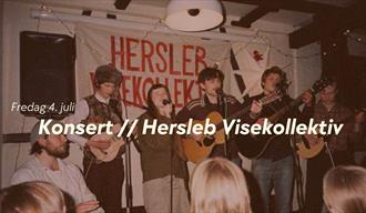Konsert: Hersleb Visekollektiv // Centralen