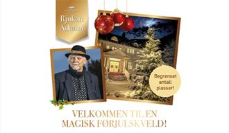 Julekonsert med Trond Granlund