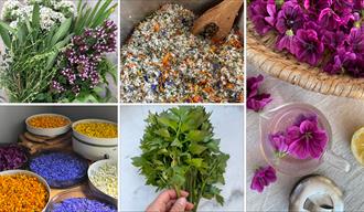 tørke blomster og urter