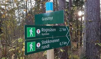 Rundturer i skogen og langs kyststien i Bamble