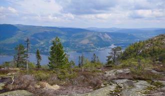 Langfjell Panorama hiking path in Nissedal