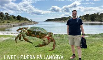 gutt med blå Tskjorte og beige shorts på grønn gressslettte med vann i bakgrunn. stor krabbe