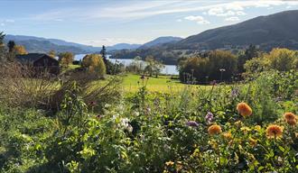 flowers at Nordre Ramberg Gård