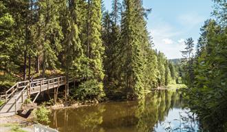 tursti som går forbi et vann  i skien fritidspark