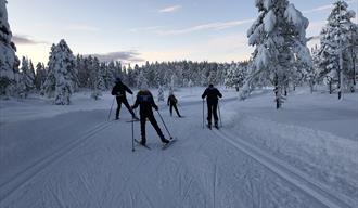 Skiløpere i fantastisk flott vinterlandskap